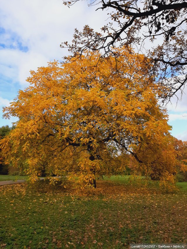 Паола Рейна — Куклы Paola Reina (Паола Рейна): новинки (фото 8)