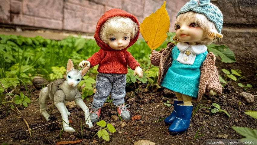 Осень. Realpuki. 185 — Фотоистории с куклами BJD (БЖД): сериалы (фото 10)