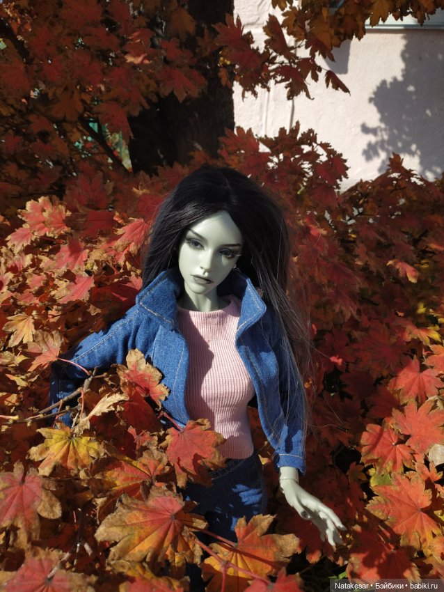 Краски осени прекрасны — Куклы Iplehouse (Иплхаус): BJD (БЖД) (фото 2)