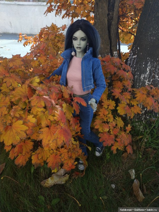 Краски осени прекрасны — Куклы Iplehouse (Иплхаус): BJD (БЖД) (фото 5)