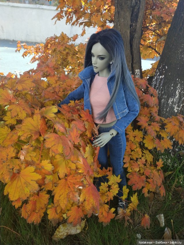 Краски осени прекрасны — Куклы Iplehouse (Иплхаус): BJD (БЖД) (фото 6)