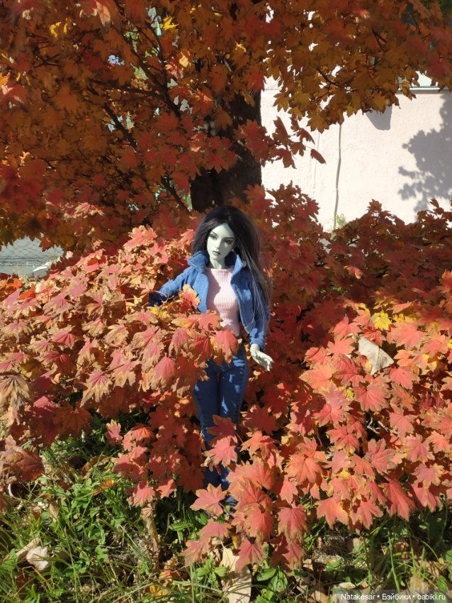 Краски осени прекрасны — Куклы Iplehouse (Иплхаус): BJD (БЖД)