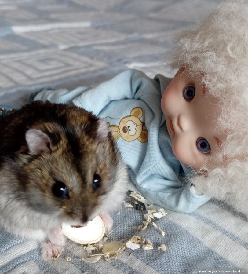 Кузёма в городе. Первое знакомство (фото 3)