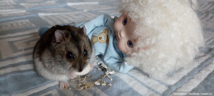 Кузёма в городе. Первое знакомство