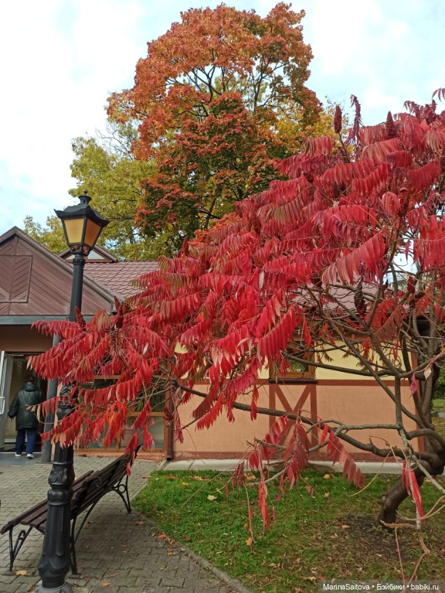 Нечаянное путешествие. Калининград