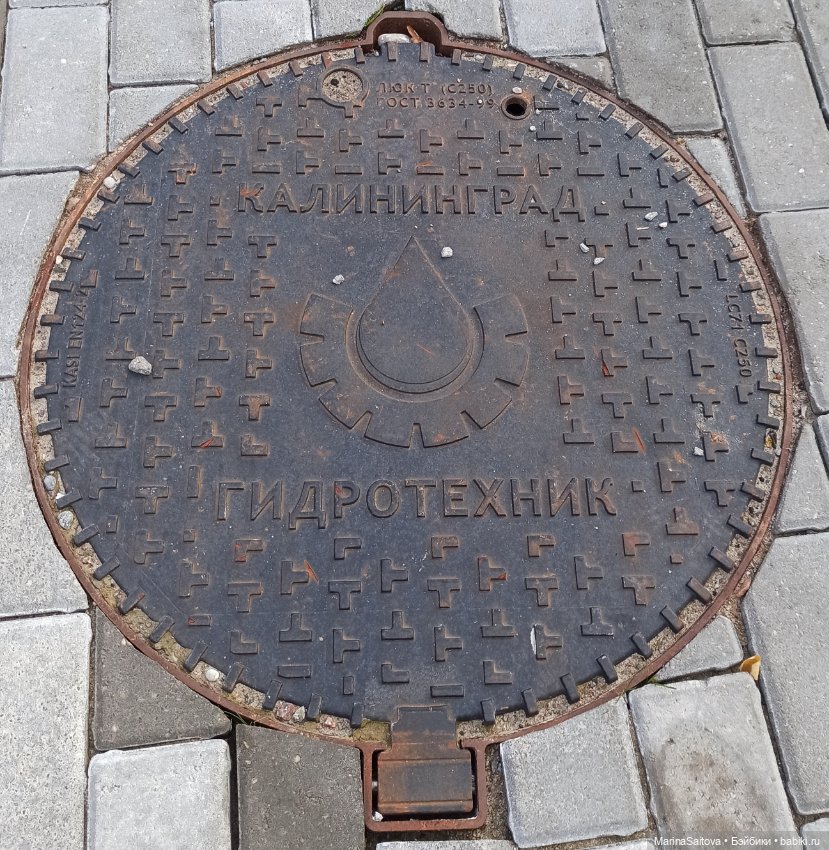 Нечаянное путешествие. Калининград (фото 5)