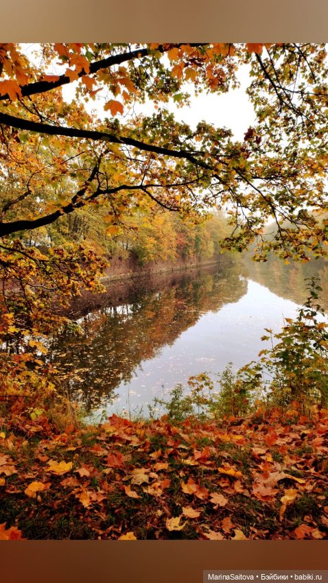 Нечаянное путешествие. Калининград