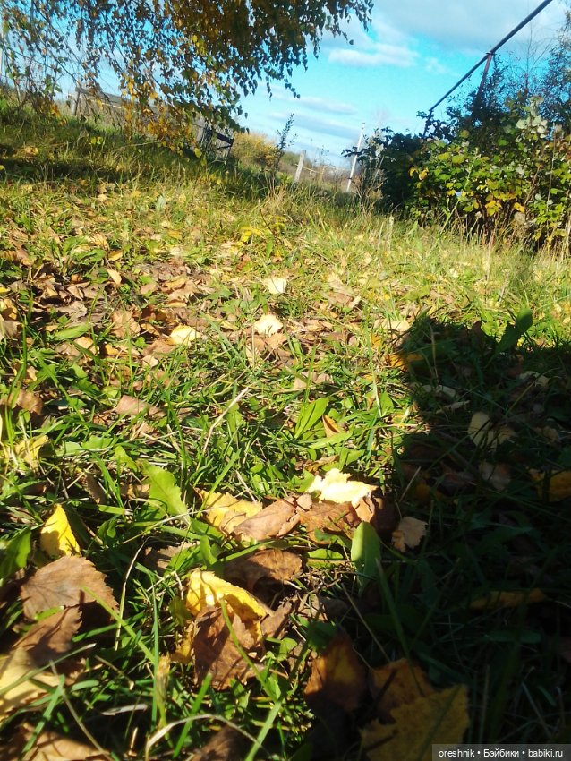 Немного осенних листьев — Куклы Baboliy (Баболи (фото 6)