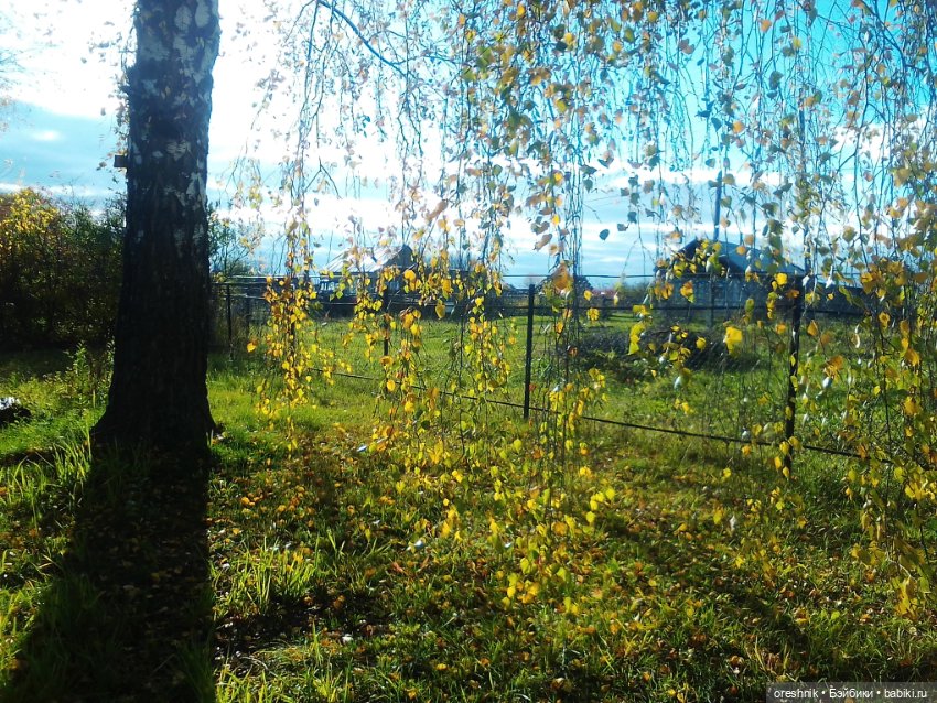 Немного осенних листьев — Куклы Baboliy (Баболи