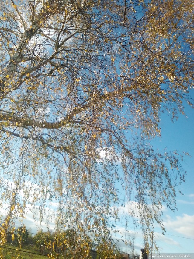 Немного осенних листьев — Куклы Baboliy (Баболи (фото 3)