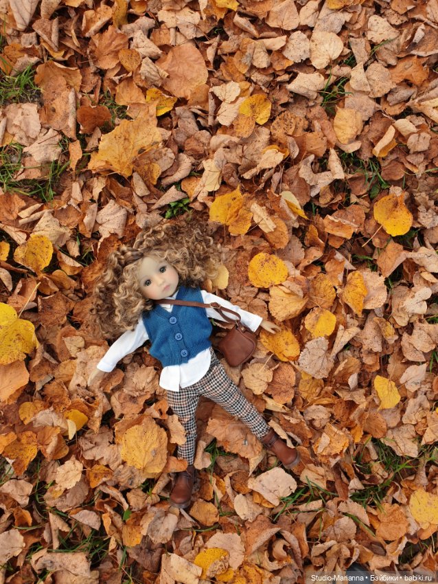 Осеннии краски и куколки Руби Ред