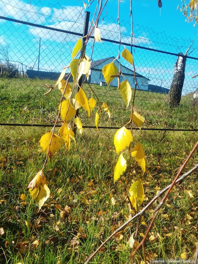 Немного осенних листьев — Куклы Baboliy (Баболи