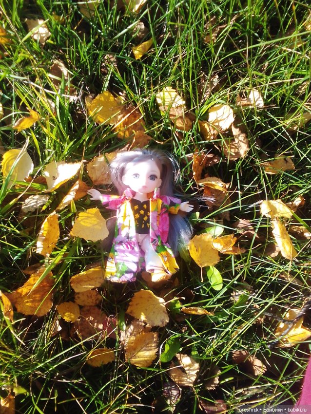 Немного осенних листьев — Куклы Baboliy (Баболи