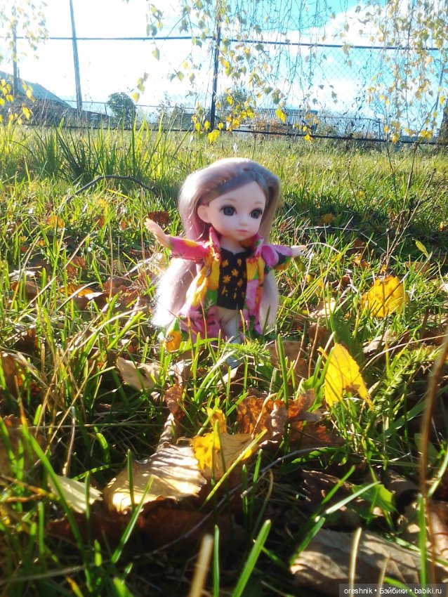 Немного осенних листьев — Куклы Baboliy (Баболи (фото 8)