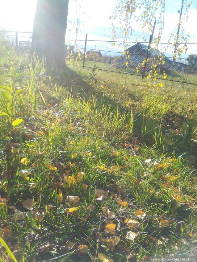 Немного осенних листьев — Куклы Baboliy (Баболи (фото 4)