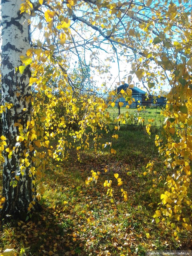 Немного осенних листьев — Куклы Baboliy (Баболи