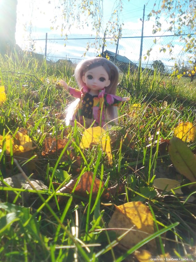 Немного осенних листьев — Куклы Baboliy (Баболи (фото 9)
