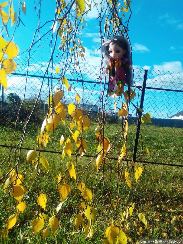 Немного осенних листьев — Куклы Baboliy (Баболи