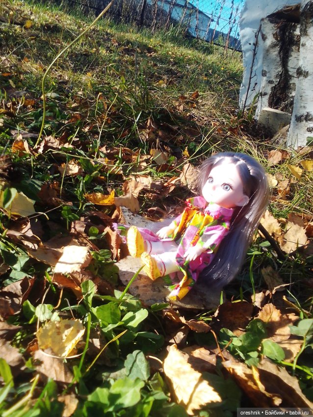 Немного осенних листьев — Куклы Baboliy (Баболи (фото 10)