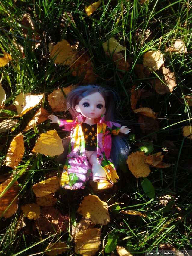 Немного осенних листьев — Куклы Baboliy (Баболи