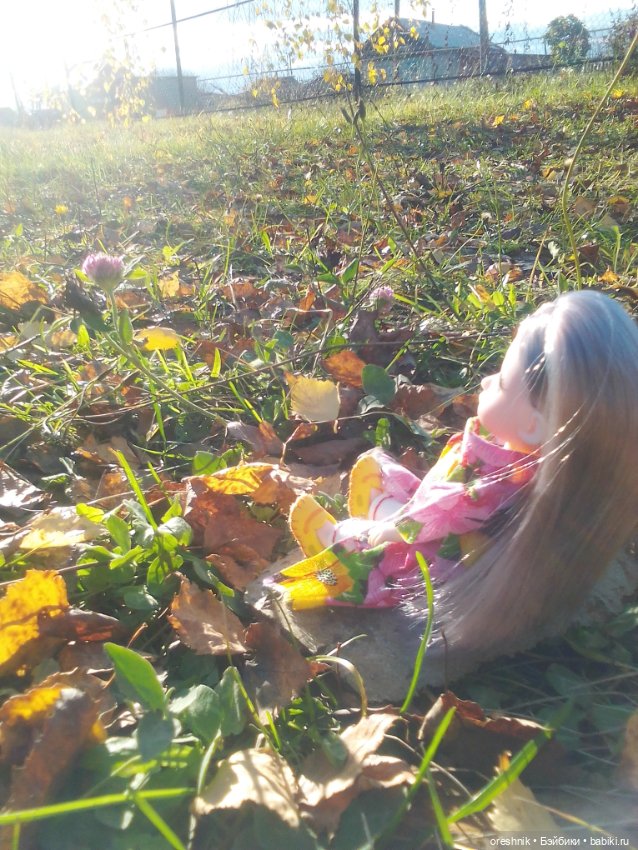 Немного осенних листьев — Куклы Baboliy (Баболи