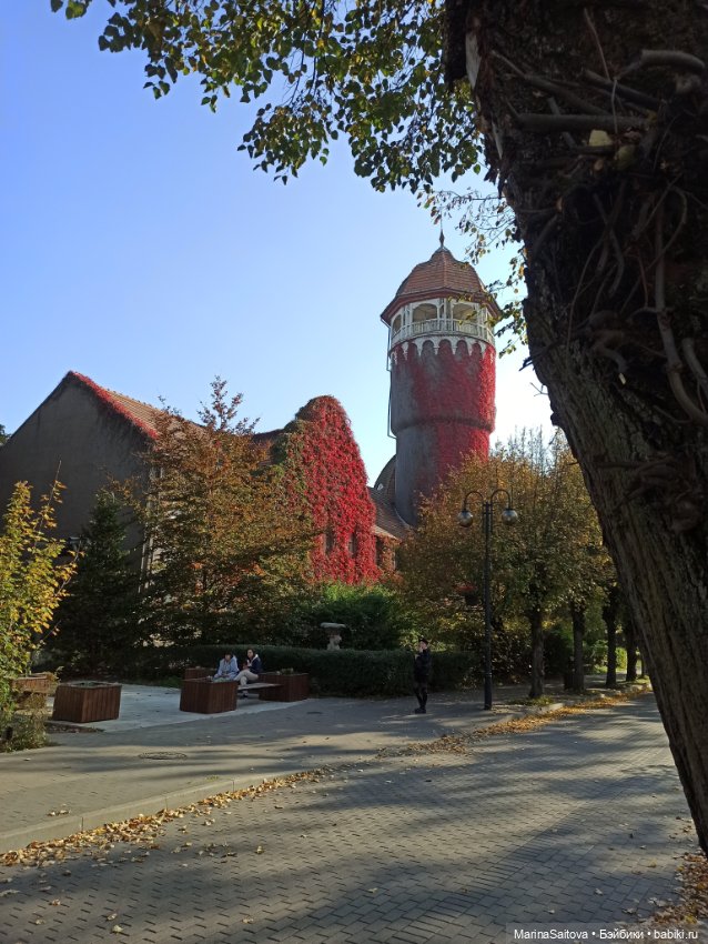 В поисках янтаря — Туризм и путешествия: фотоотчеты из поездок