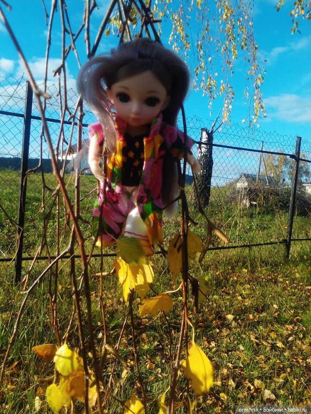 Немного осенних листьев — Куклы Baboliy (Баболи