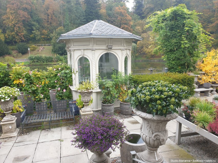 Осеннии краски и куколки Руби Ред