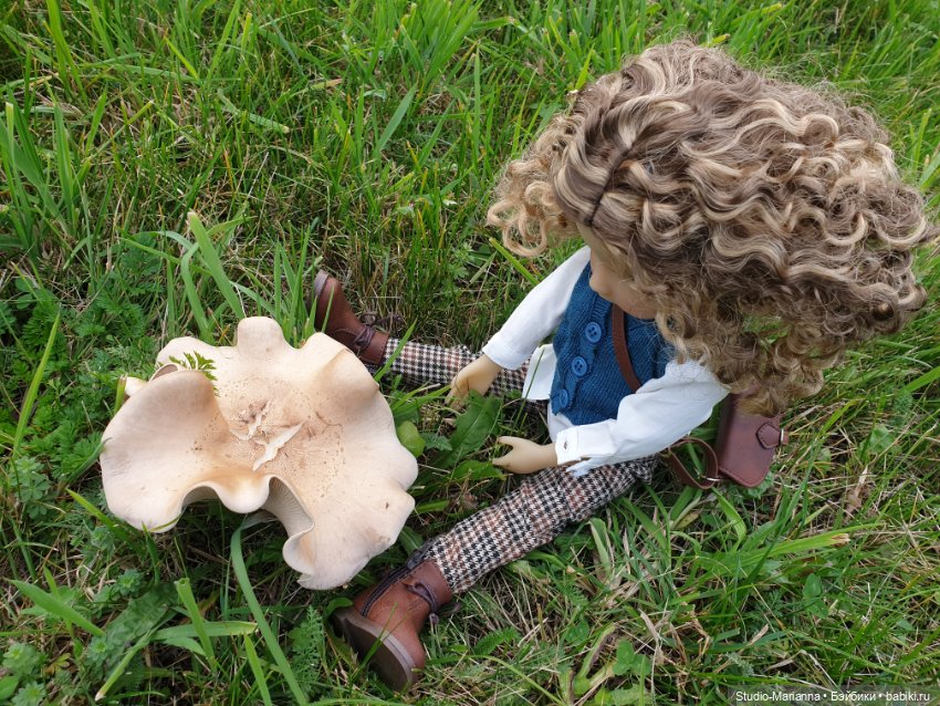 Осеннии краски и куколки Руби Ред