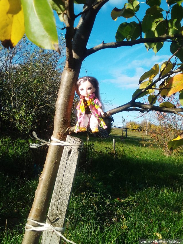 Немного осенних листьев — Куклы Baboliy (Баболи