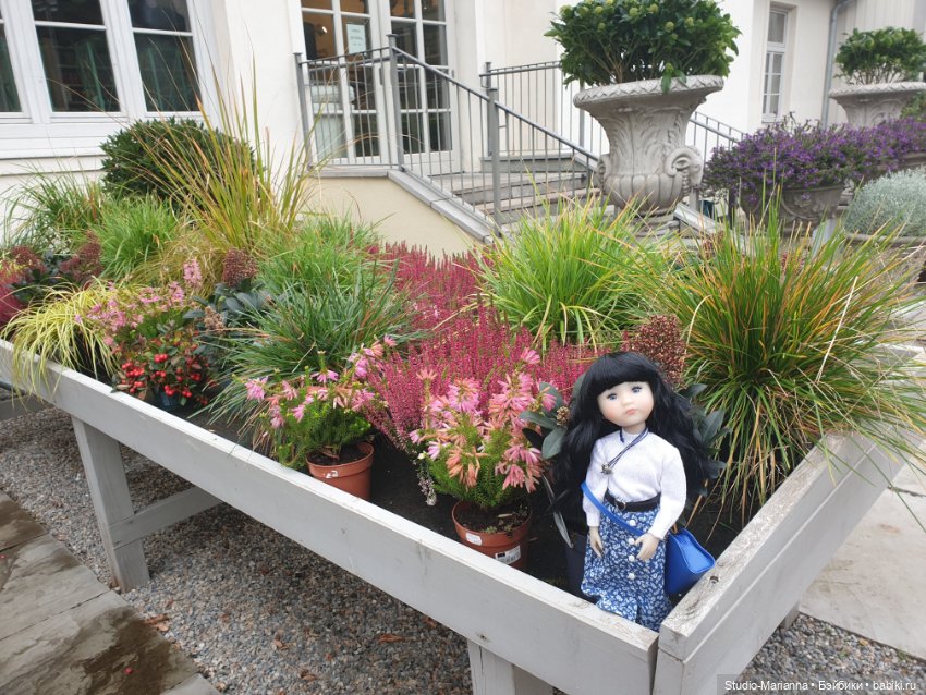 Осеннии краски и куколки Руби Ред