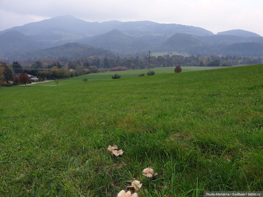 Осеннии краски и куколки Руби Ред