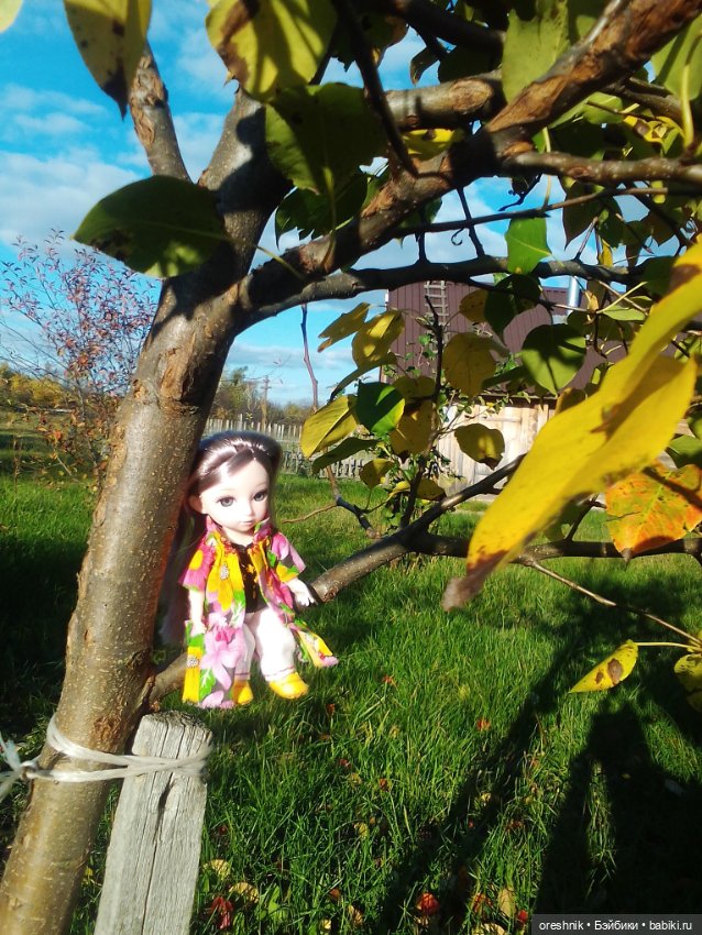 Немного осенних листьев — Куклы Baboliy (Баболи