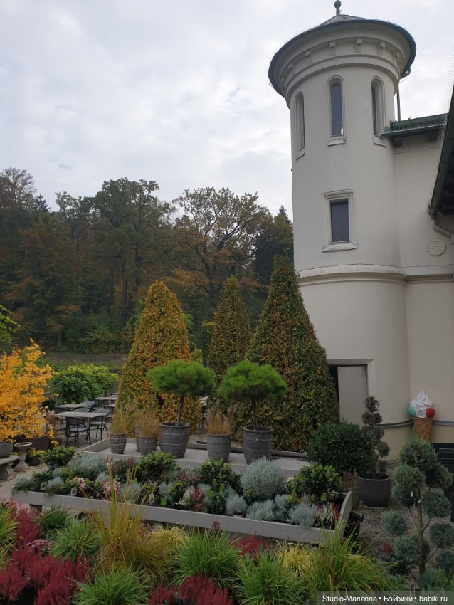 Осеннии краски и куколки Руби Ред