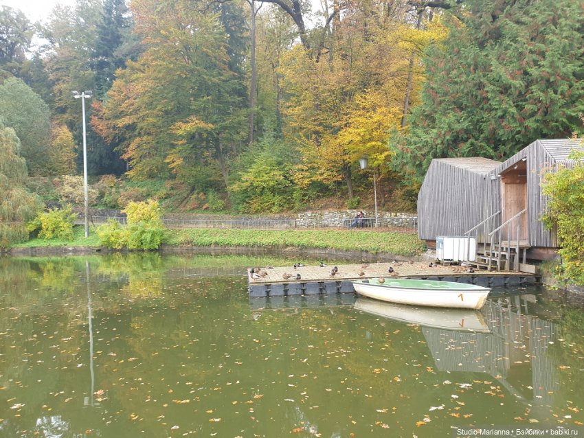 Осеннии краски и куколки Руби Ред