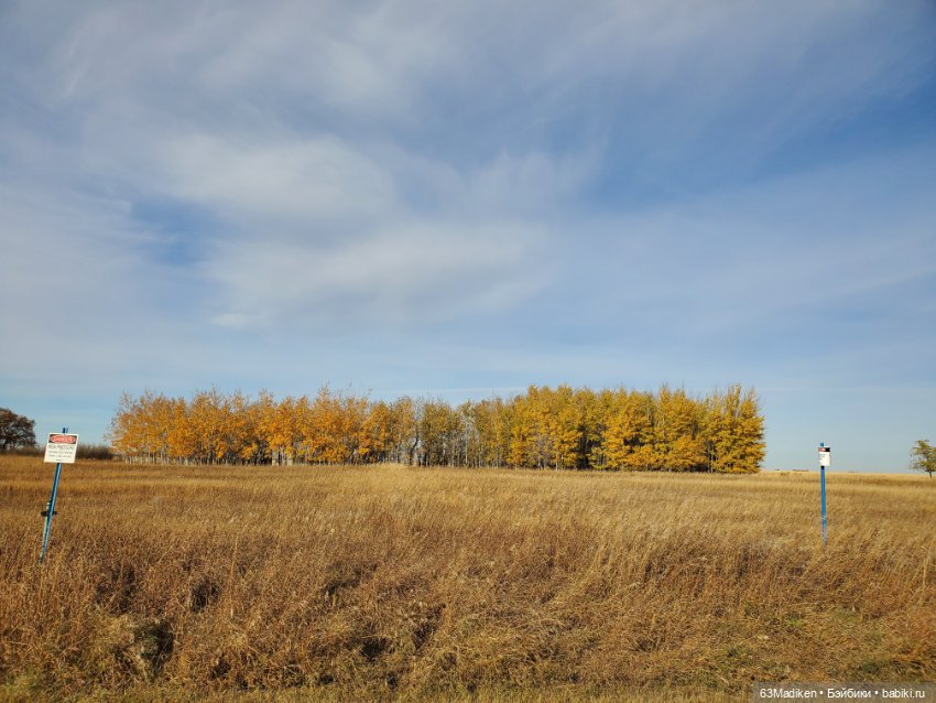 День с Клодин — Куклы Monster High и Ever After High: G1 (фото 5)