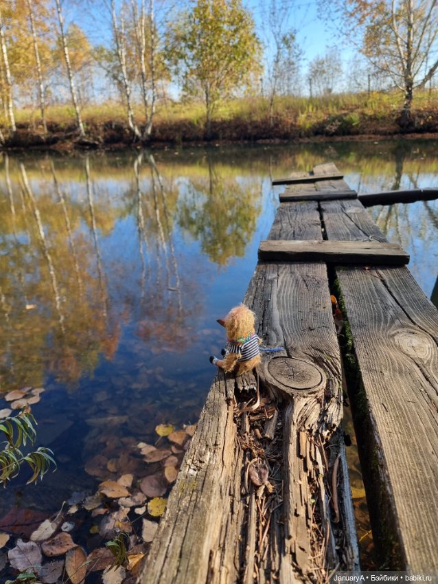 Птица счастья завтрашнего дня