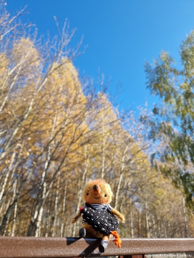 Птица счастья завтрашнего дня (фото 10)