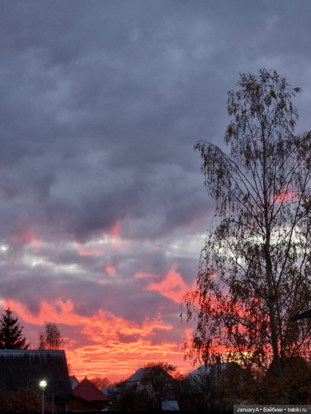 Птица счастья завтрашнего дня (фото 8)