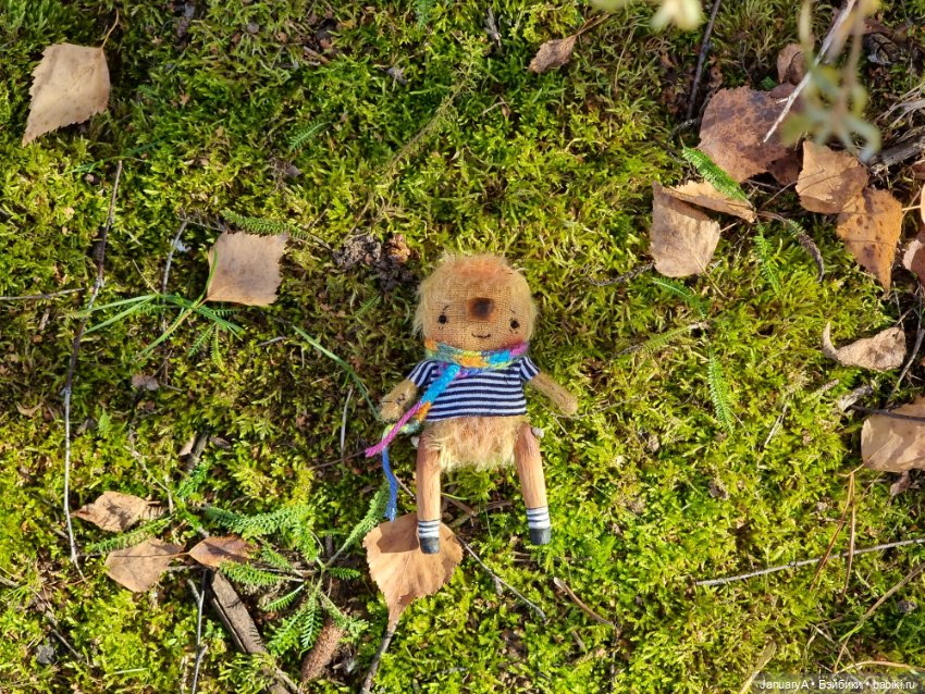 Птица счастья завтрашнего дня