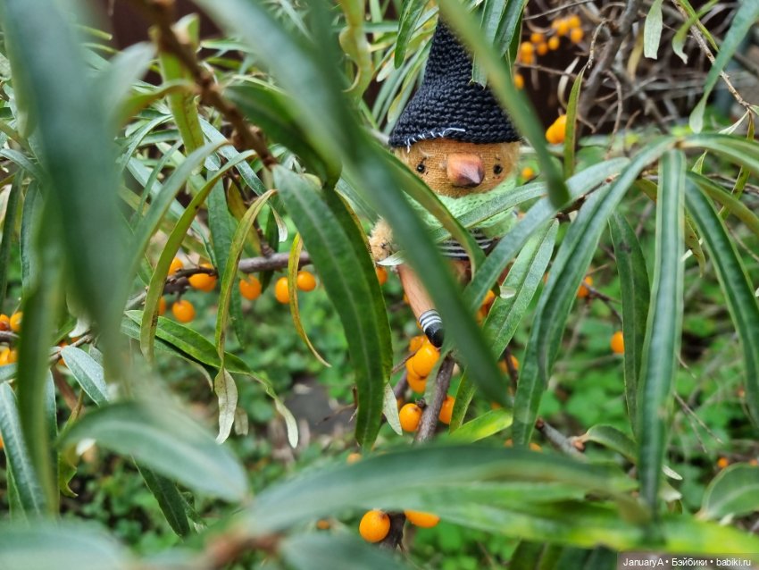 Птица счастья завтрашнего дня (фото 3)