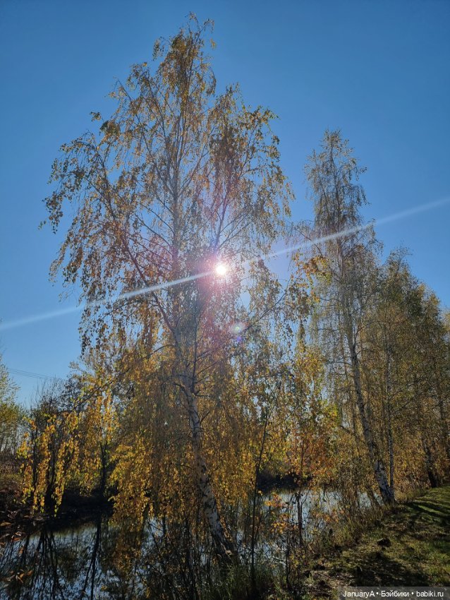 Птица счастья завтрашнего дня