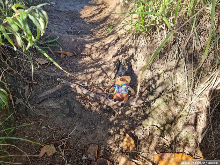 Птица счастья завтрашнего дня