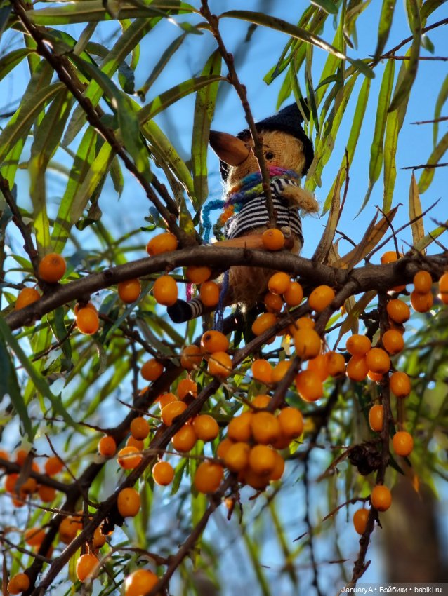 Птица счастья завтрашнего дня