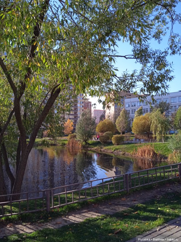 Пышки в городе. Осень 22 — Куклы Barbie (Барби): Looks (фото 5)