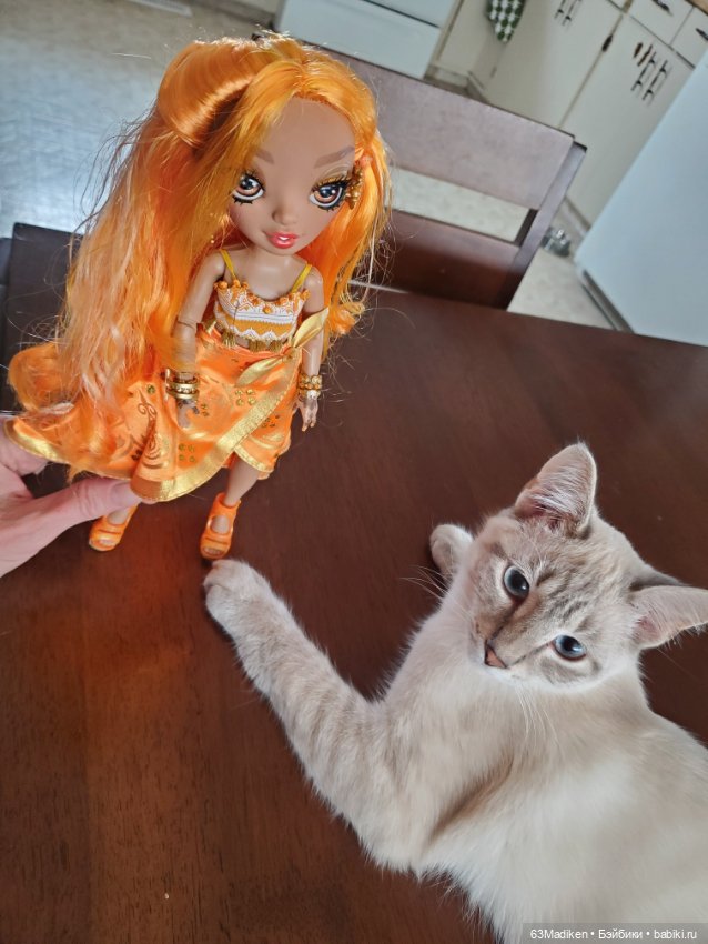 Принцесса из апельсина🍊 — Куклы Rainbow High (Рейнбоу Хай (фото 6)