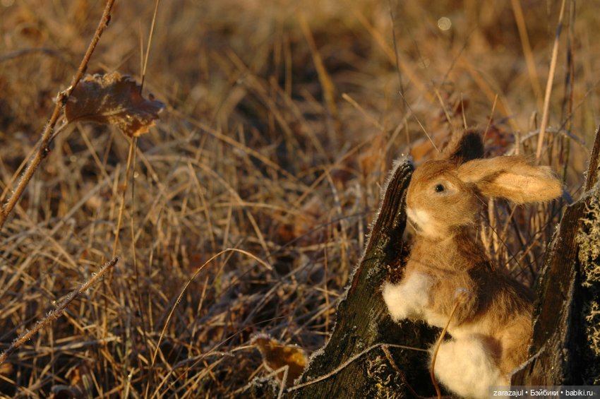 Утро в сибирском лесу — Авторские мишки Тедди и друзья: фото (фото 9)