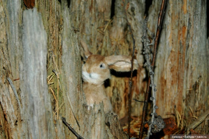 Утро в сибирском лесу — Авторские мишки Тедди и друзья: фото