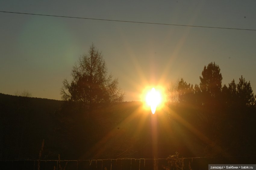 Утро в сибирском лесу — Авторские мишки Тедди и друзья: фото (фото 4)