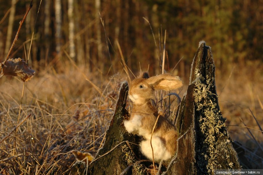 Утро в сибирском лесу — Авторские мишки Тедди и друзья: фото (фото 10)